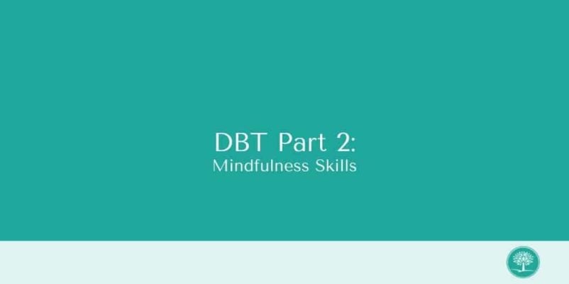 dbt-2-thumbnail