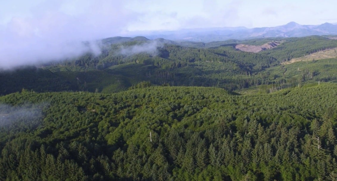 oregon video still
